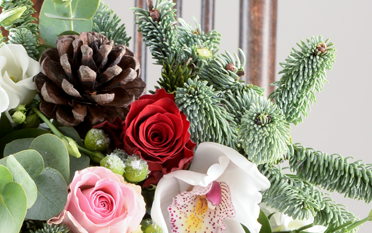 Top 6 Traditional Christmas Flowers & Plants